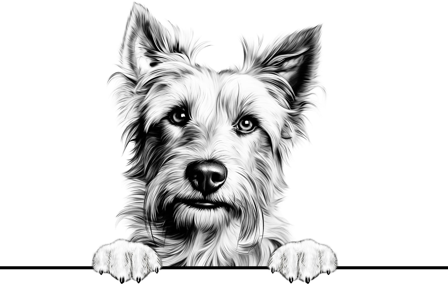 Dog Breeds
