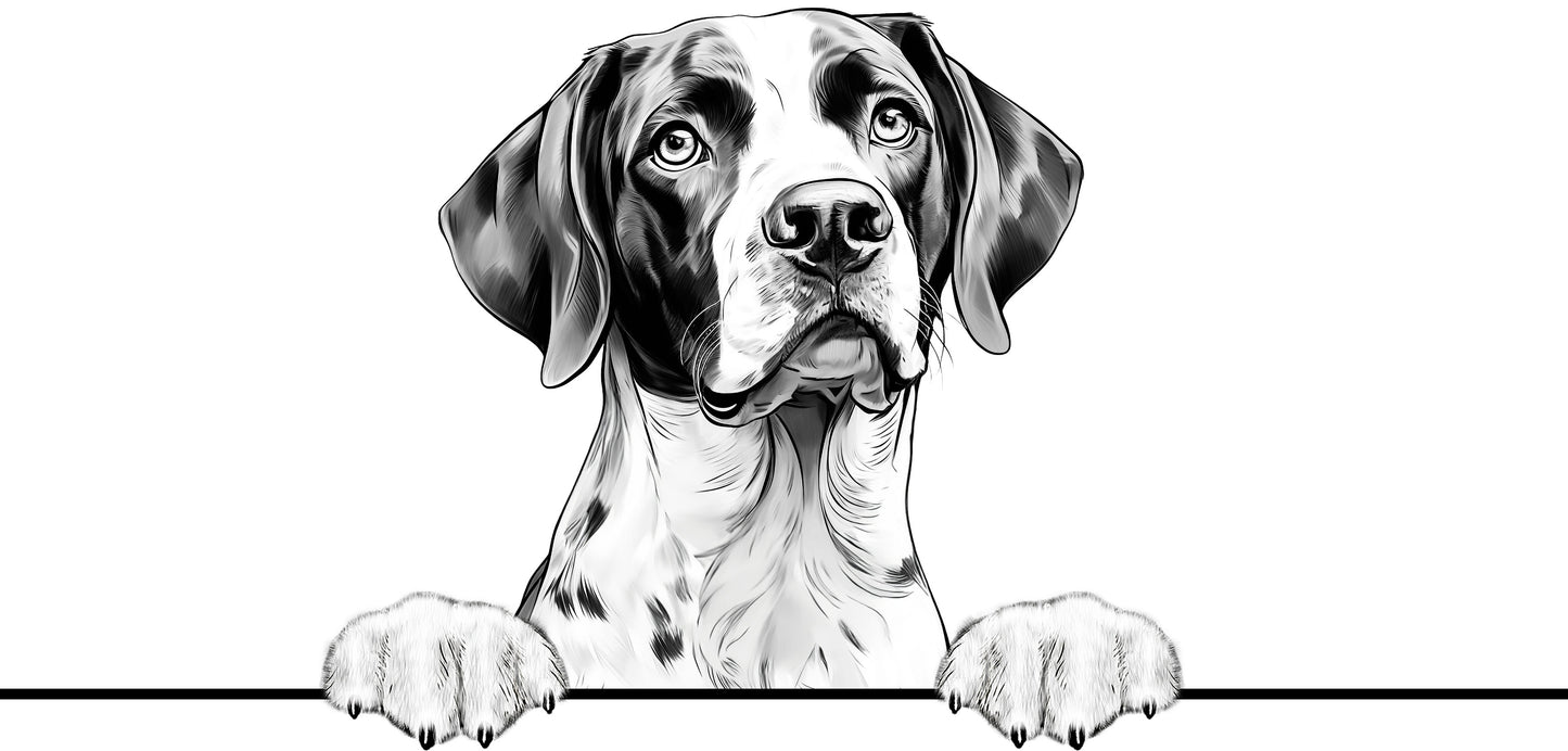Dog Breeds