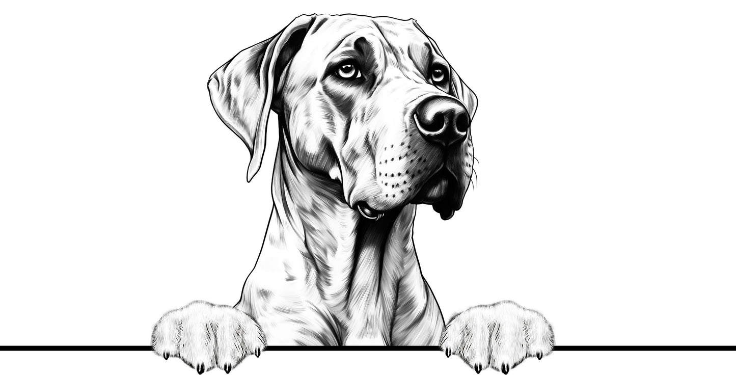 Dog Breeds