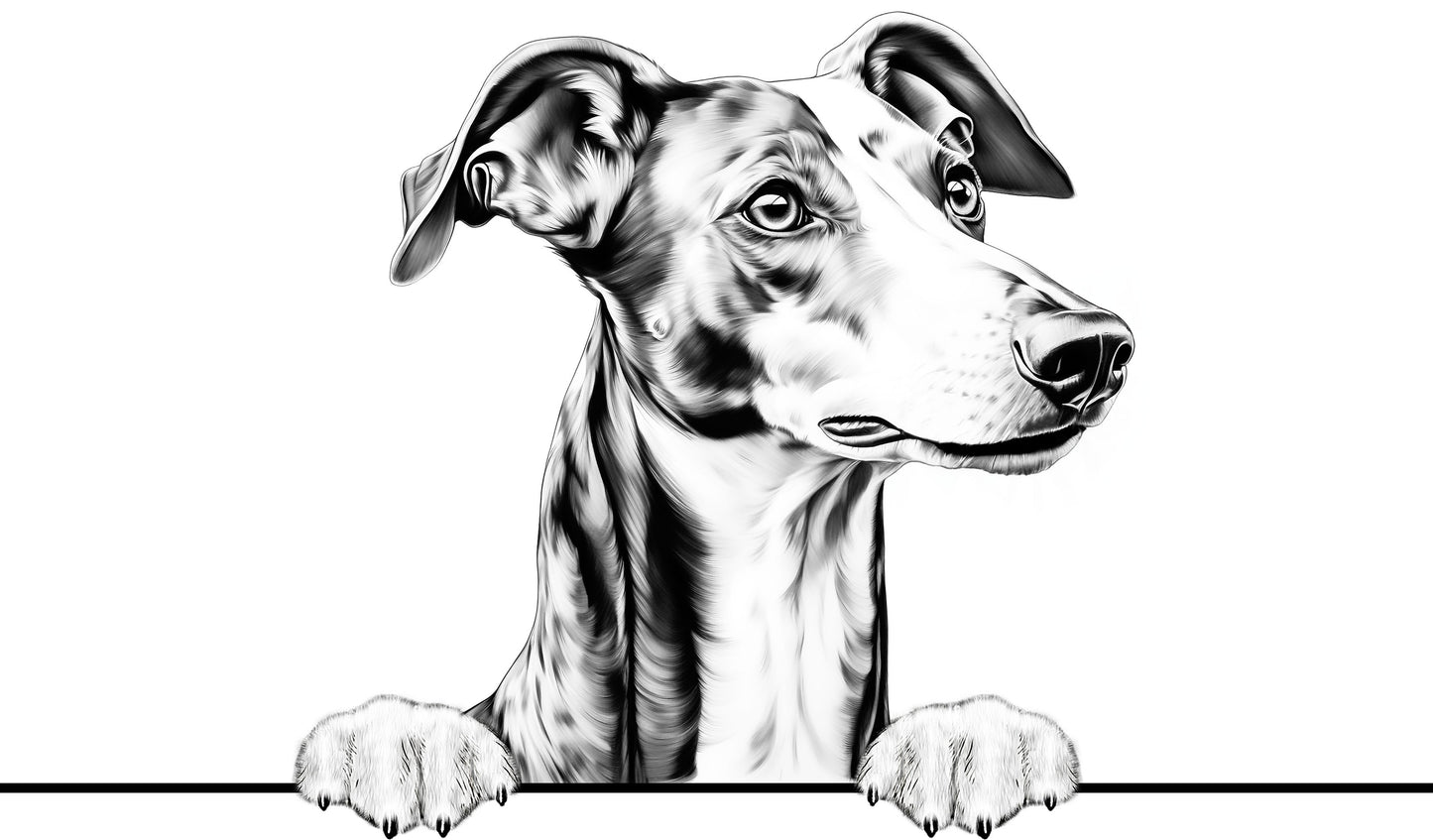 Dog Breeds