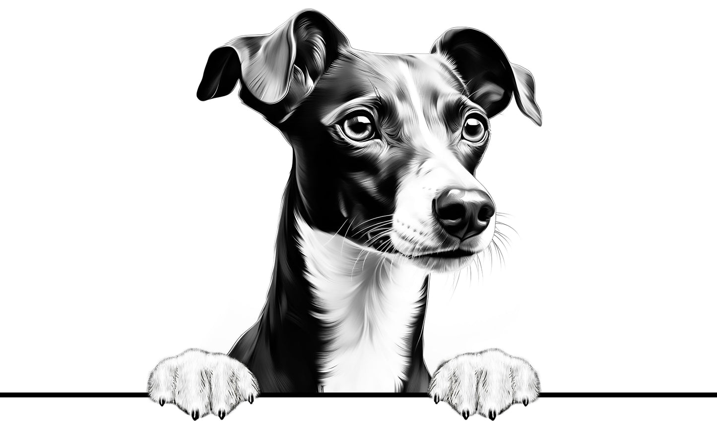 Dog Breeds