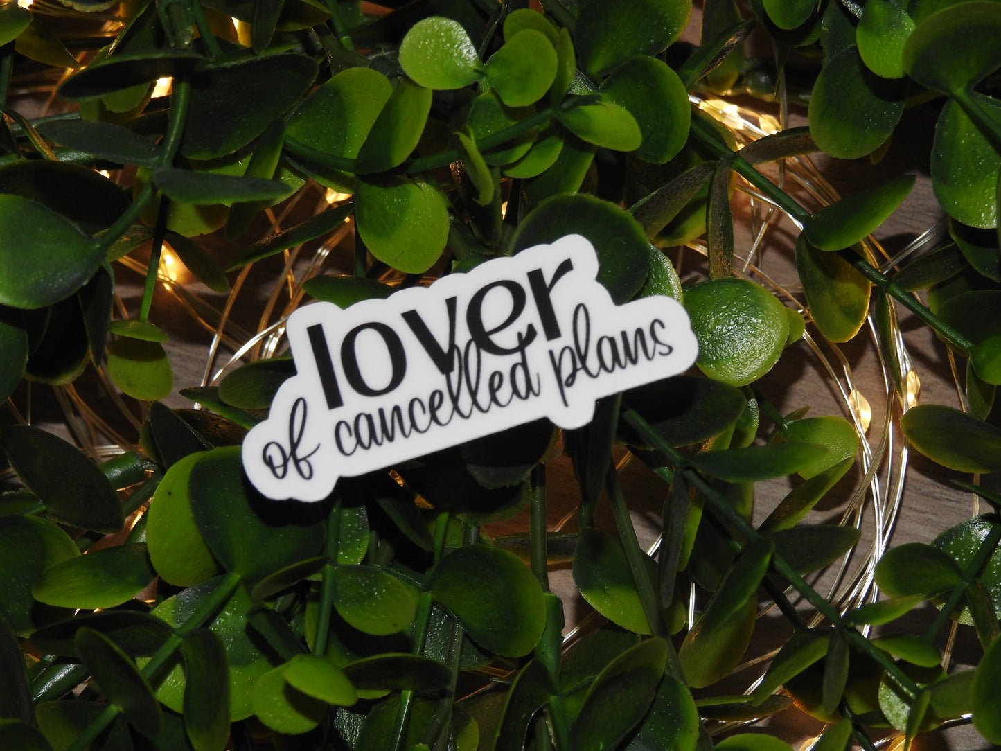 Lover of Cancelled Plans Sticker