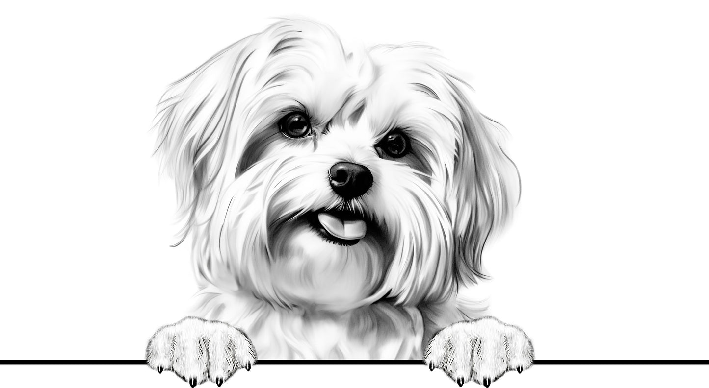 Dog Breeds