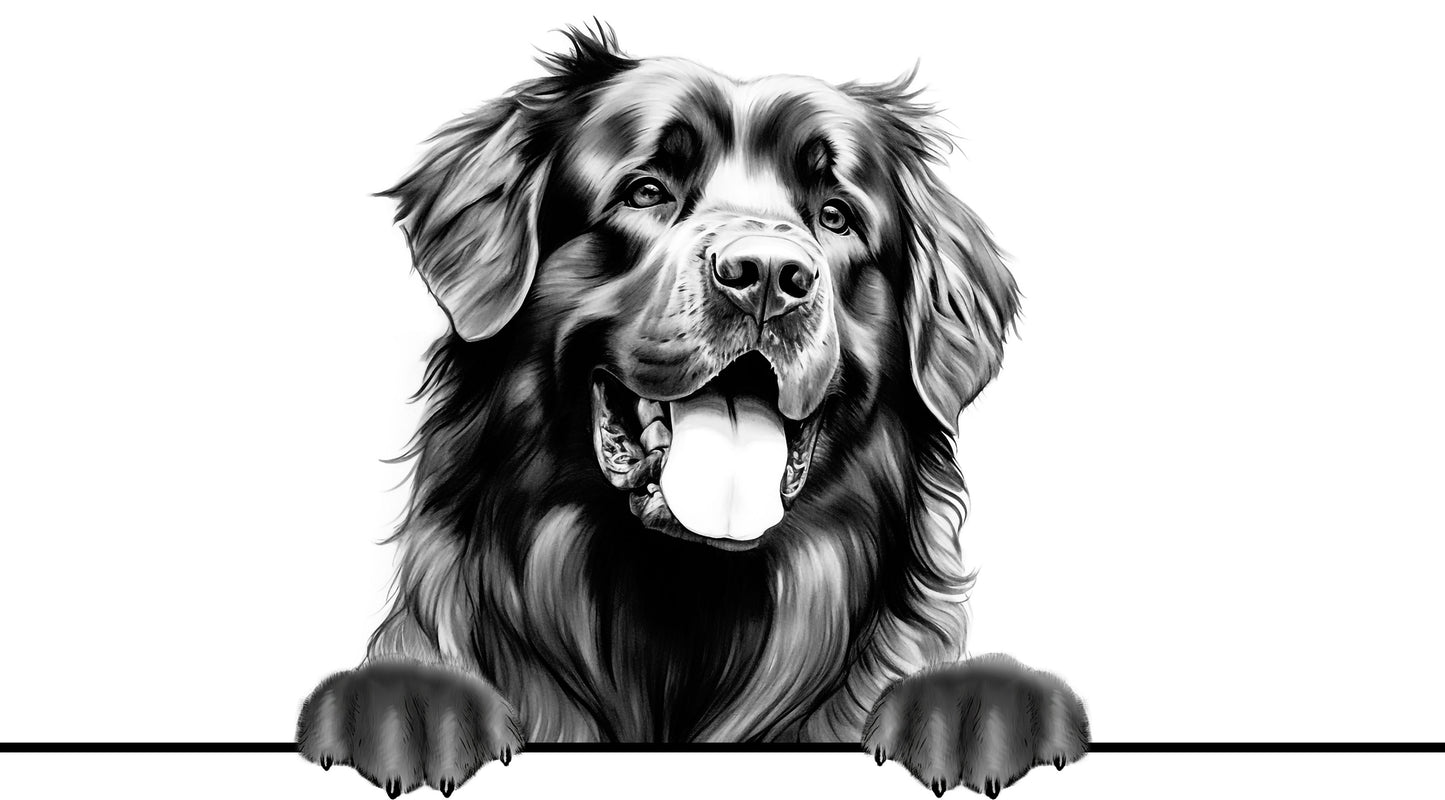 Dog Breeds