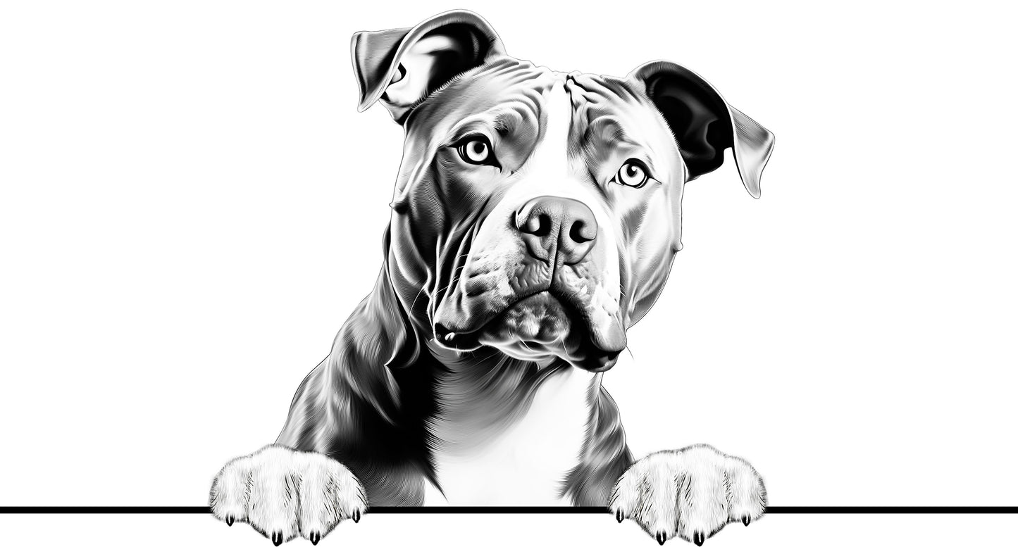 Dog Breeds