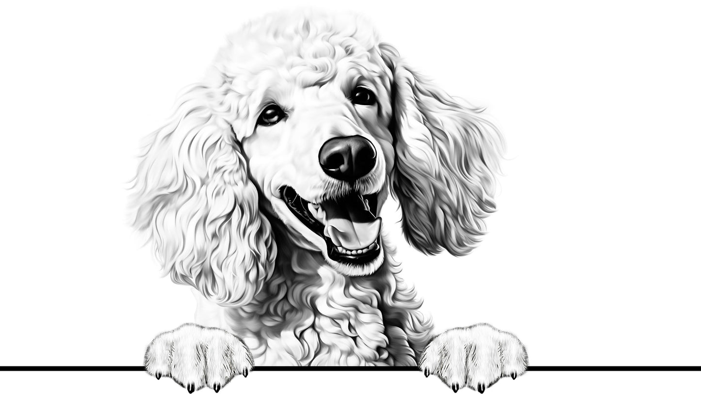 Dog Breeds