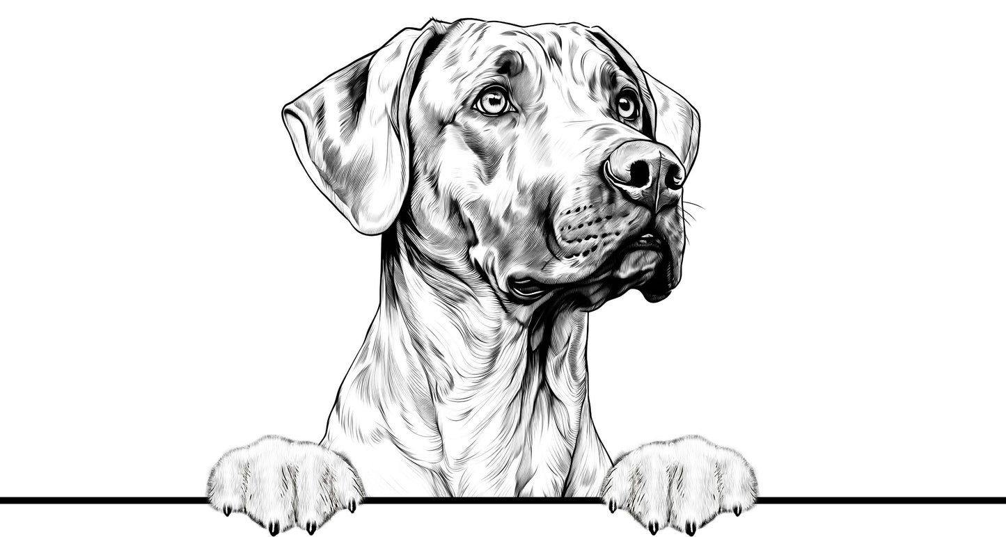 Dog Breeds