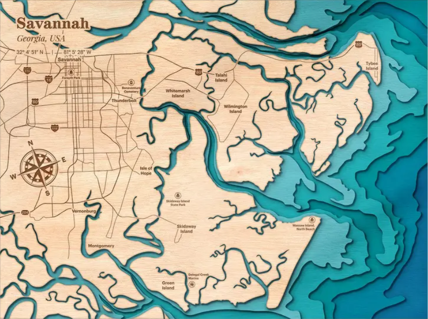 Savannah, Georgia | ENGRAVED & PAINTED | Topo Map