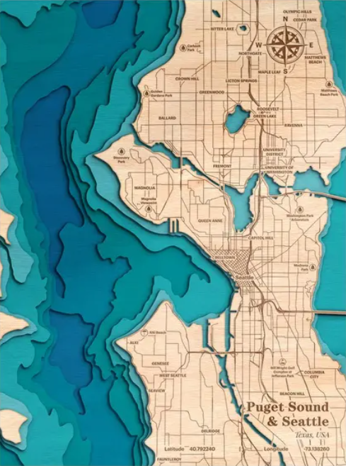 Puget Sound, Seattle | ENGRAVED & PAINTED | Topo Map